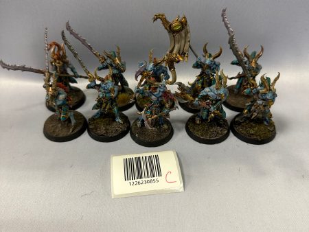 Well Painted Tzaangors C Supply