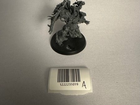 Used Typhus Herald of the Plague God (A) Fashion