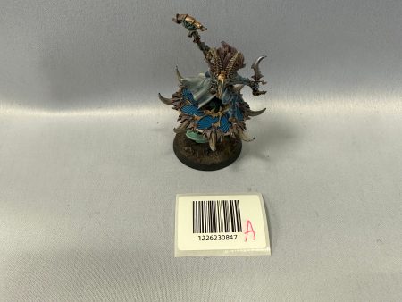 Well Painted Tzaangor Shaman A Fashion