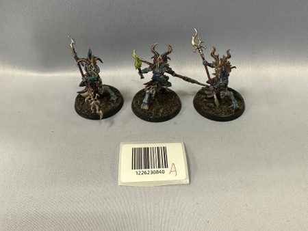 Well Painted Tzaangor Enlightened A Online Sale