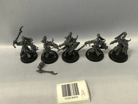 Used Myrmidesh Painbringers on Sale