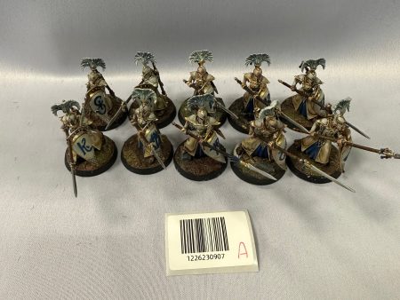 Well Painted Vanari Auralan Wardens A Hot on Sale