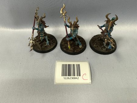 Well Painted Tzaangor Enlightened C For Sale