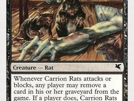 Carrion Rats (40) [Hachette UK] For Sale