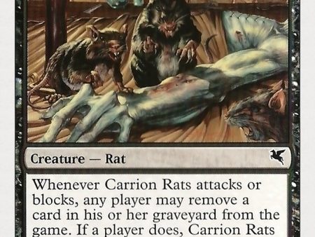 Carrion Rats (53) [Hachette UK] For Sale